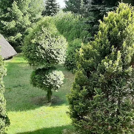 Villa Dom
